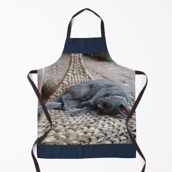 Item preview, Nap Time for a burmese cat designed and sold by cuisinecat2.