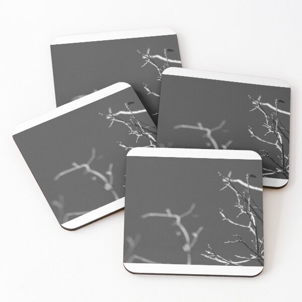 Item preview, Black and White Branch designed and sold by wingsonafield.