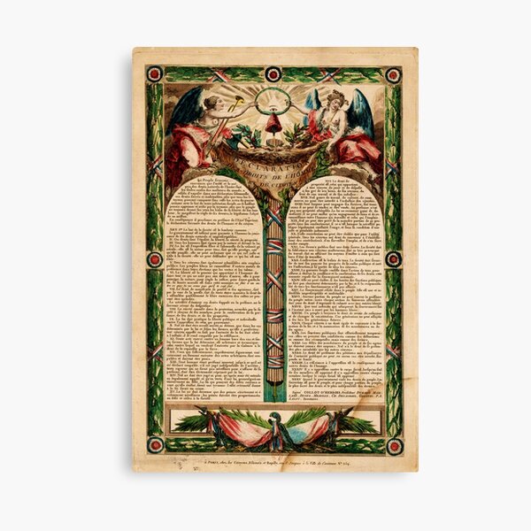 Item preview, Declaration of the Rights of Man and the Citizen designed and sold by goldenanchor.