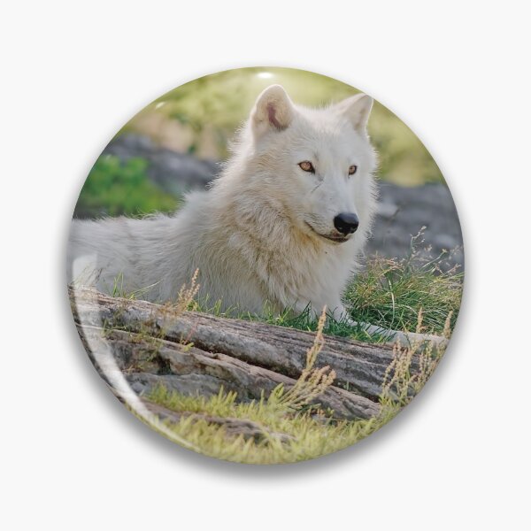 Artikelvorschau, Lazy Days entworfen und verkauft von WolvesOnly.