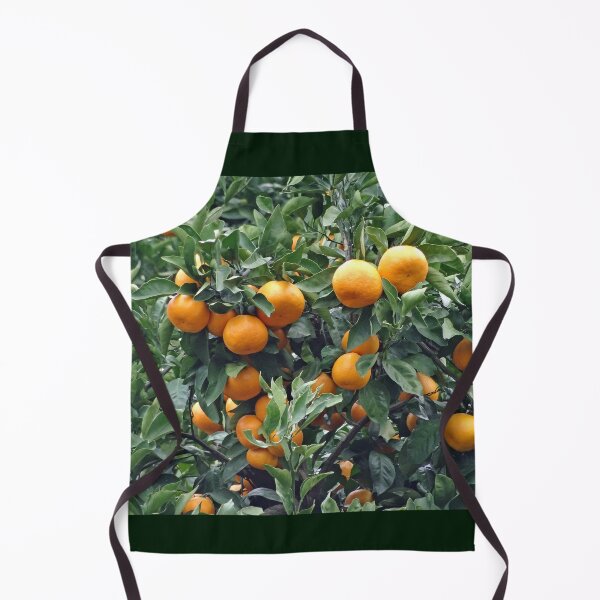 Item preview, Sukurajima Mikan in an orchard in Japan designed and sold by cuisinecat2.