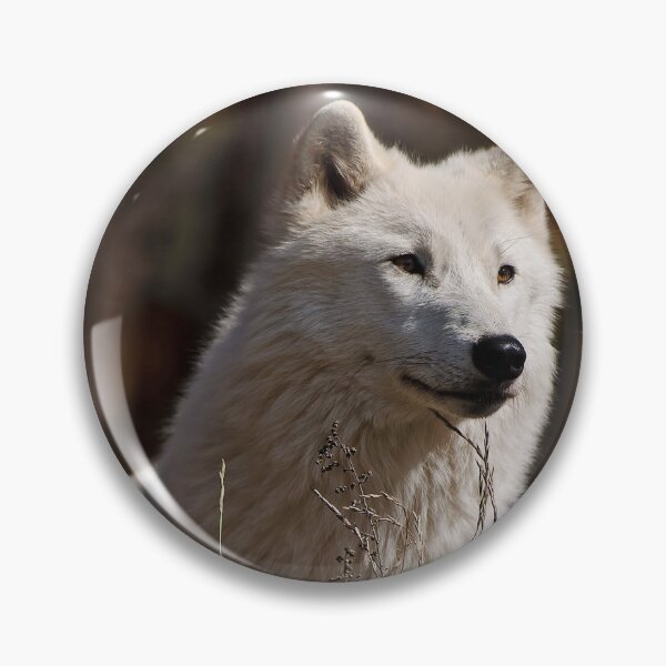 Item preview, Arctic Wolf designed and sold by WolvesOnly.