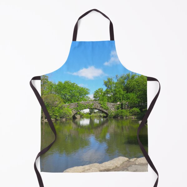Item preview, NYC Central Park : Gapstow bridge designed and sold by AHELENE.