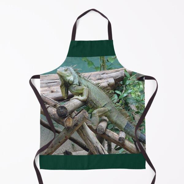 Item preview, Iggy Iguana at a sanctuary in Thailand designed and sold by cuisinecat2.