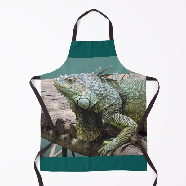 Item preview, Iggy Iguana at a Thailand santuary designed and sold by cuisinecat2.