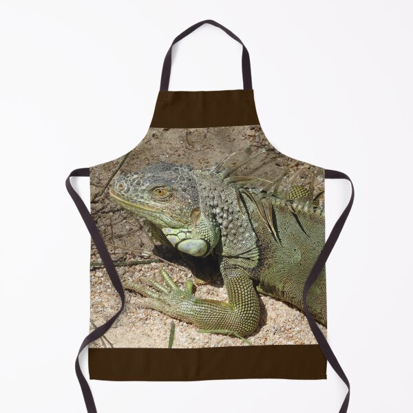 Item preview, Relaxing Iguana at a sanctuary in Thailand designed and sold by cuisinecat2.