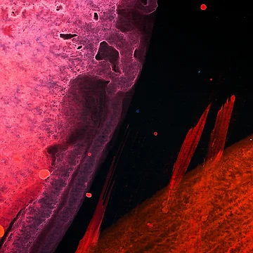 Artwork thumbnail, 101 by AlgorithmAB