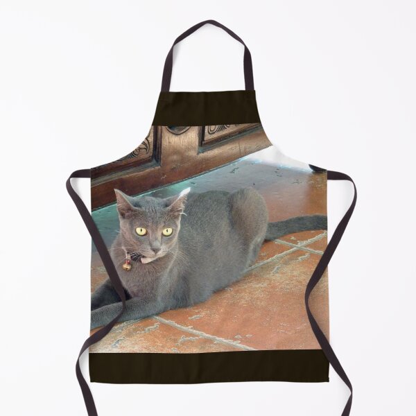 Item preview, I see you said the Burmese cat designed and sold by cuisinecat2.