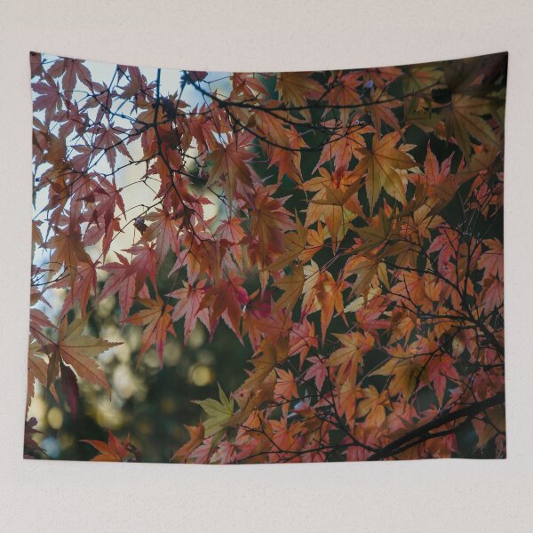 Item preview, Fall Japanese Maple Leaves designed and sold by JLPhotographer.
