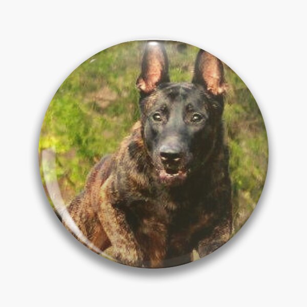 Item preview, strong belgian shepherd malinois dog designed and sold by mikoala50.