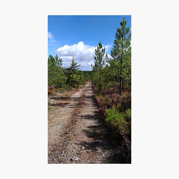Walking on a Silent Mountain Photographic Print