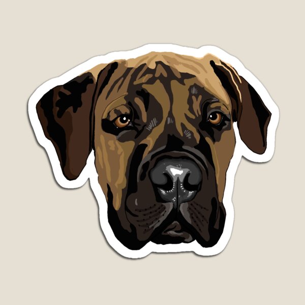 Boerboel Mastiff head Magnet