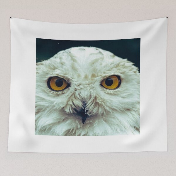 Item preview, Winter owl designed and sold by SergioBarros.