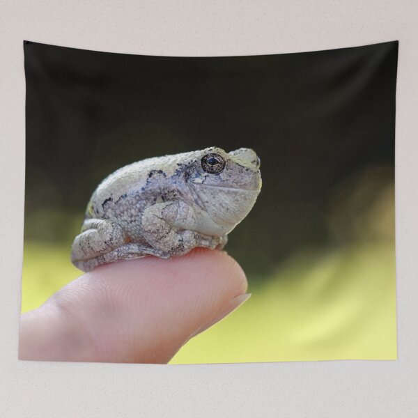 Item preview, Fat Frog designed and sold by StampCity.