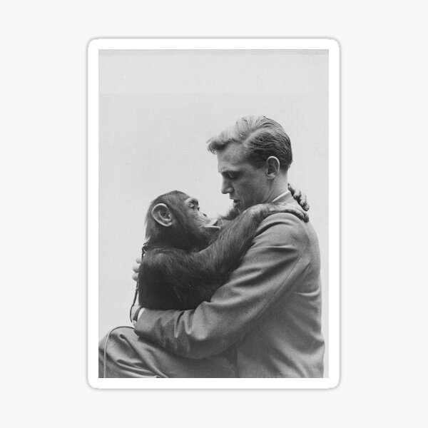 Item preview, David Attenborough  designed and sold by Gleamtwins.