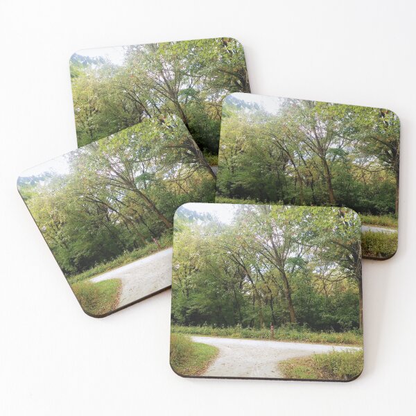 Item preview, Forest Preserve Crossroads  designed and sold by NathanMoore92.
