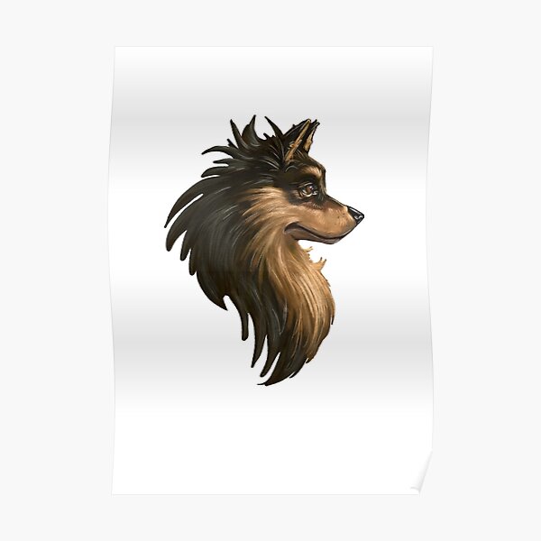 Dog - A head of a Finnish Lapphund Poster
