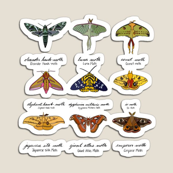 Item preview, Moths designed and sold by DanSam.