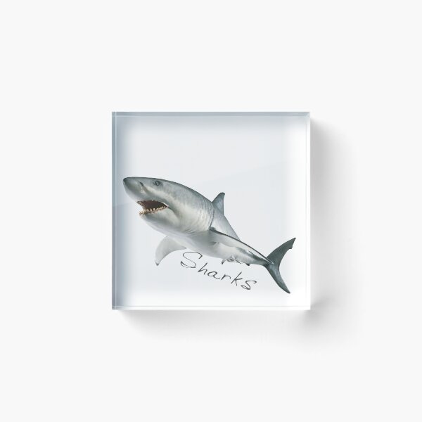 Item preview, Shark: the most dangerous predatory sea fish designed and sold by JamalRok04.