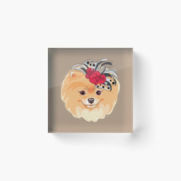 Item preview, Stylish Pomeranian designed and sold by NewWorldIsHere.