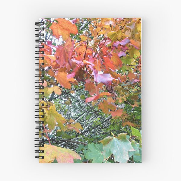 Item preview, Autumn Myriad designed and sold by Fara.
