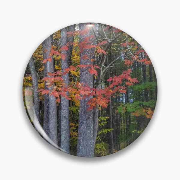 Item preview, Autumn in Maine designed and sold by Colleen Drew.