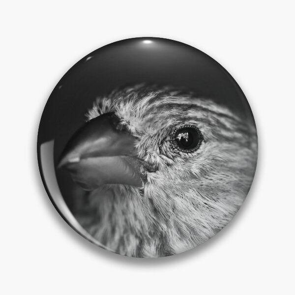 Item preview, Black and White House Finch designed and sold by StampCity.