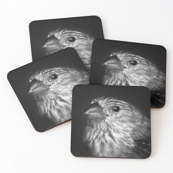 Item preview, Black and White House Finch designed and sold by StampCity.