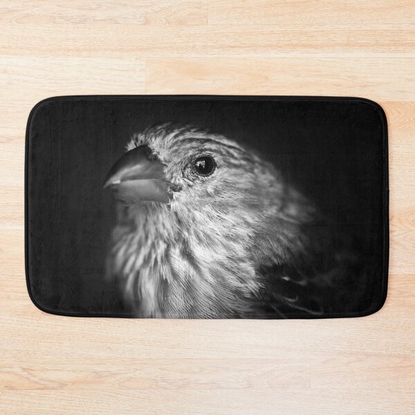 Item preview, Black and White House Finch designed and sold by StampCity.