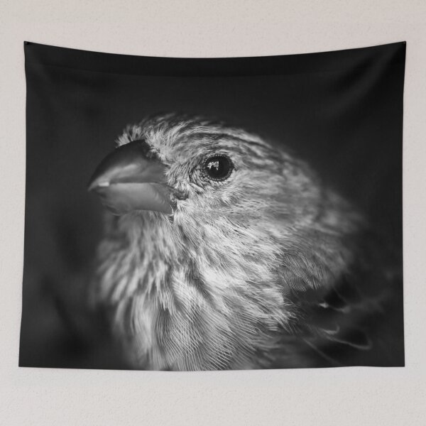 Item preview, Black and White House Finch designed and sold by StampCity.