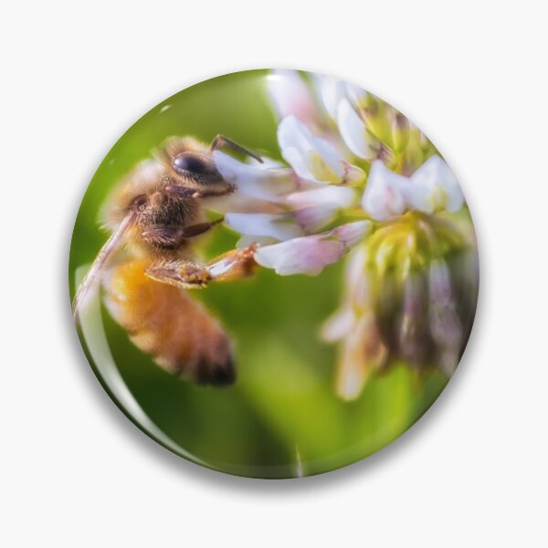 Item preview, Bee Free a honeybee doing its thing designed and sold by MarniePatchett.