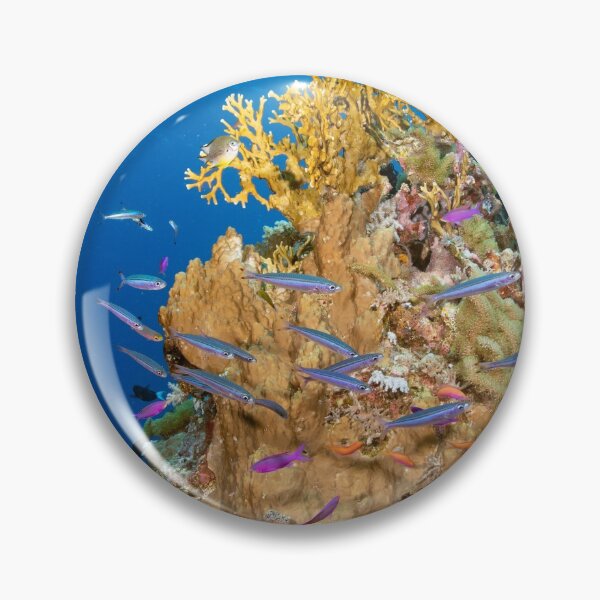 Item preview, Fusiliers on the Reef designed and sold by Mark Rosenstein.