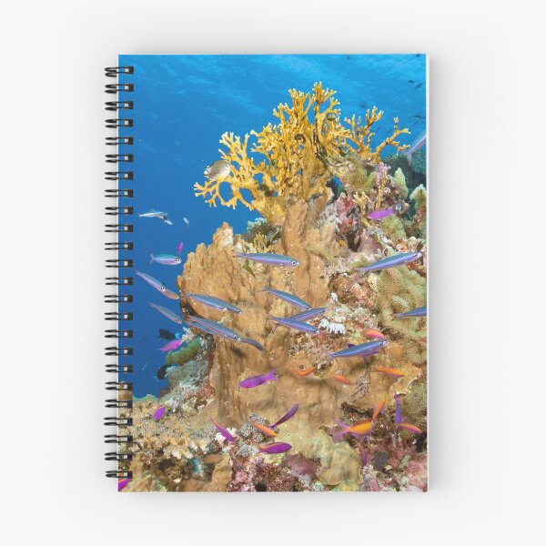 Item preview, Fusiliers on the Reef designed and sold by Mark Rosenstein.