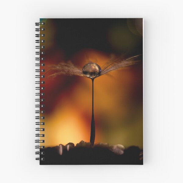 Item preview, Flight Of The Teardrops - Peach & Amber designed and sold by IanDonCrockett.