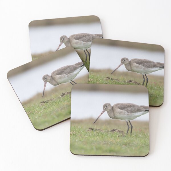 Item preview, Black Tailed Godwit designed and sold by LaurenTucker.