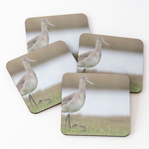 Item preview, Black Tailed Godwit designed and sold by LaurenTucker.