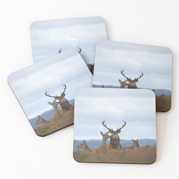 Item preview, To the Victor, the Spoils designed and sold by Macrae images.