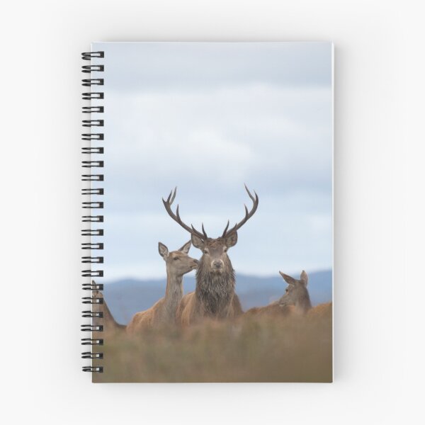 Item preview, To the Victor, the Spoils designed and sold by Macrae images.