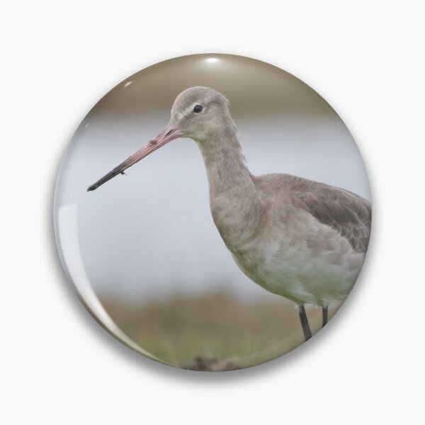 Item preview, Black Tailed Godwit designed and sold by LaurenTucker.