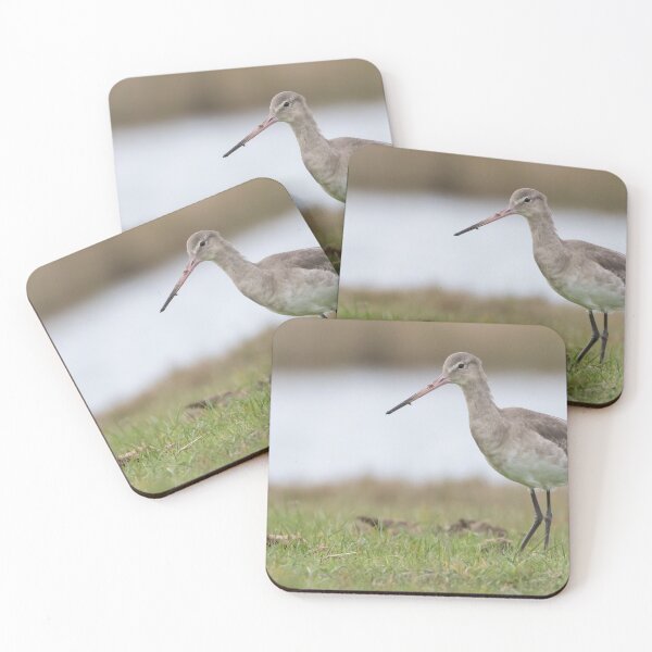 Item preview, Black Tailed Godwit designed and sold by LaurenTucker.