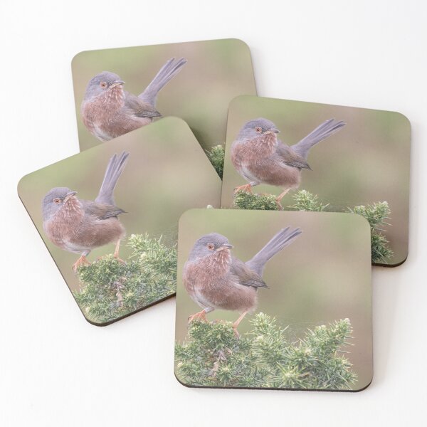 Item preview, Dartford Warbler designed and sold by LaurenTucker.