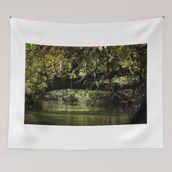 Item preview, Enchanted Forest - Study X   designed and sold by BritishYank.