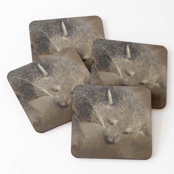 Item preview, Binturong designed and sold by Elisabeth Lucas.