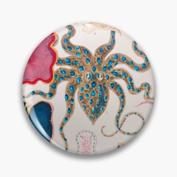 Item preview, Octopus Molluscs and Planarian Vintage Sea life Illustration designed and sold by VintageArchive.