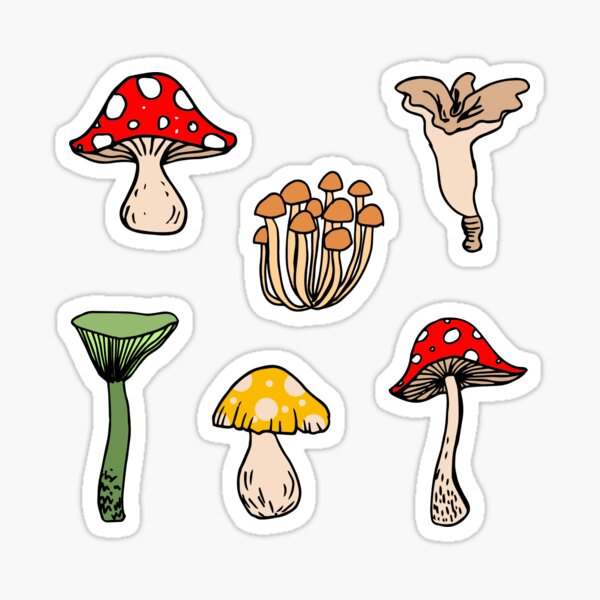 Woodland Mushrooms Shrooms Pack Sticker
