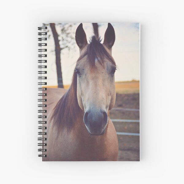 Rocky - quarter horse Spiral Notebook