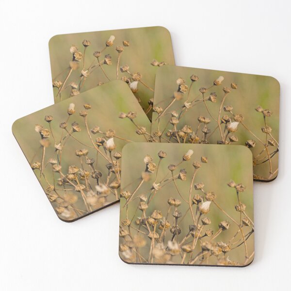 Item preview, Bokeh narrow-leaved ragwort seeds designed and sold by xophotography.