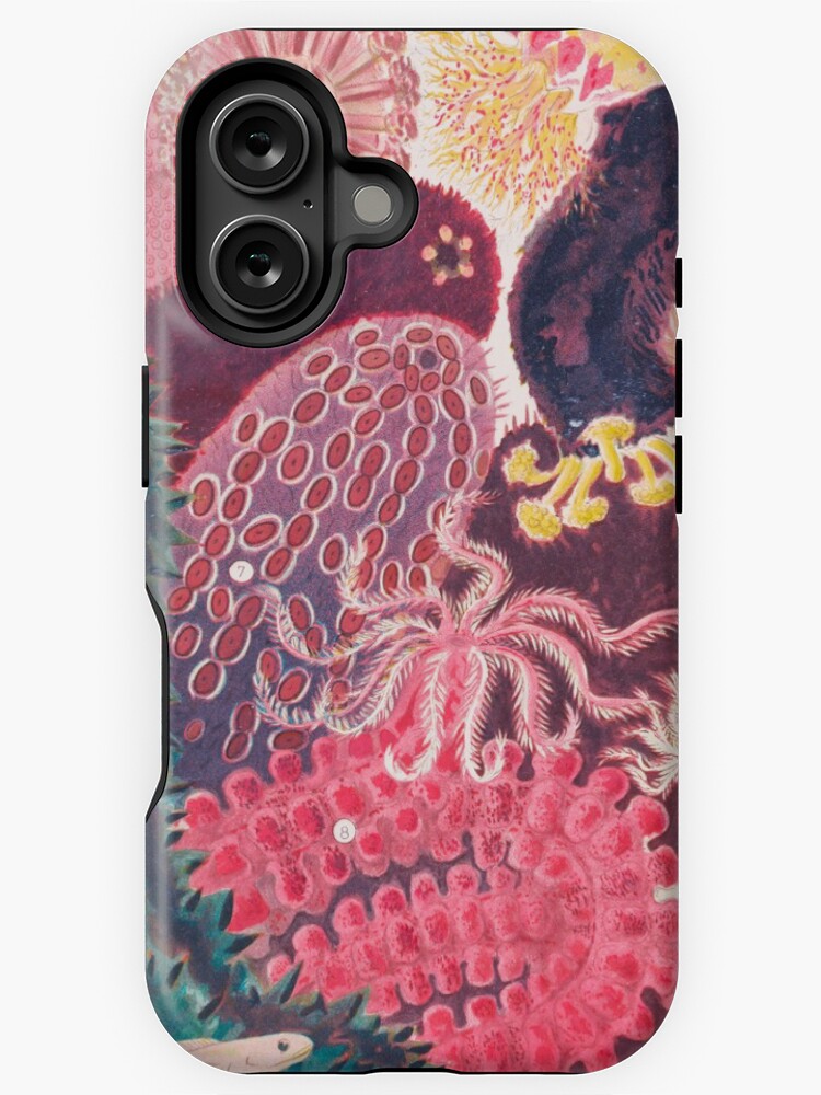 Thumbnail 1 von 4, iPhone-Hülle, Seegurke Trepang Vintage Sea Life Illustration designt und verkauft von VintageArchive.