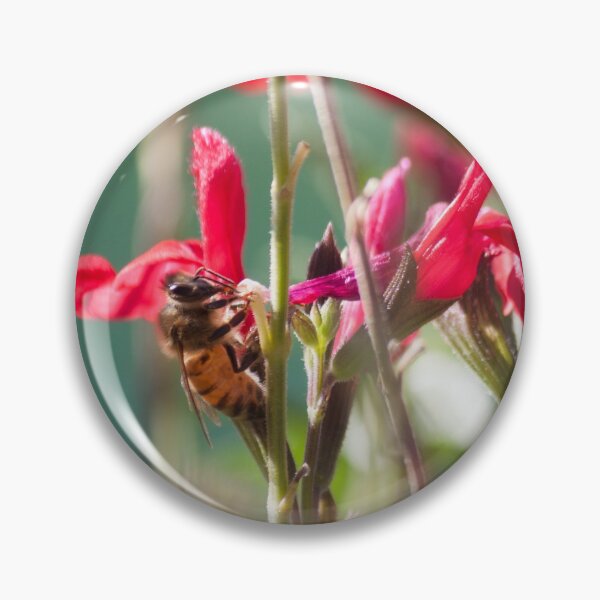 Item preview, Magical Bee designed and sold by Jacquelie.
