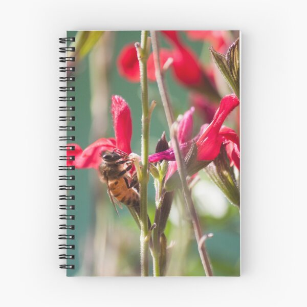 Item preview, Magical Bee designed and sold by Jacquelie.